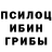 Галлюциногенные грибы прущие грибы another rat