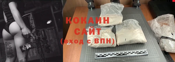 соль ск Алексин