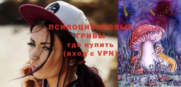 соль ск Алексин