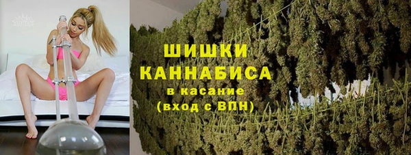 соль ск Алексин