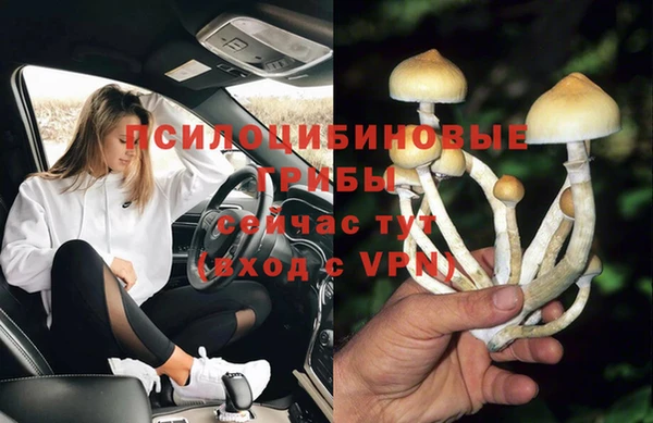 гидропоника Абинск