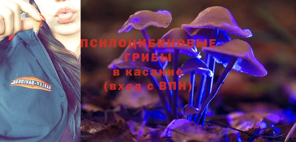 соль ск Алексин