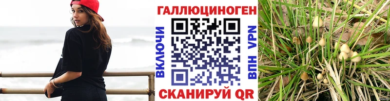 Галлюциногенные грибы ЛСД  Усолье-Сибирское 