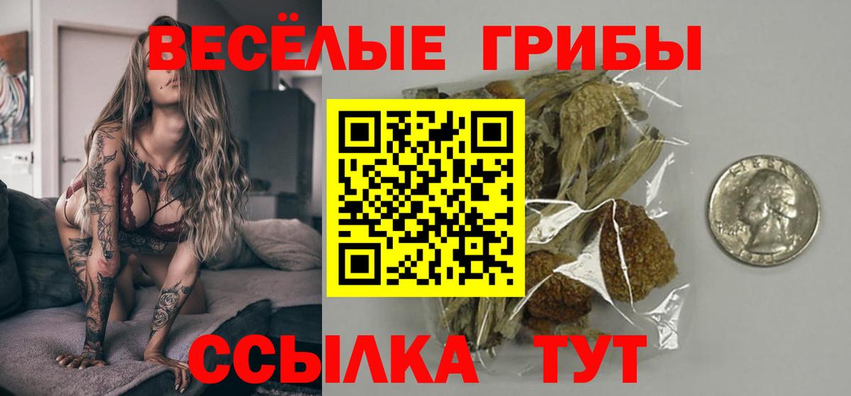 Галлюциногенные грибы GOLDEN TEACHER Усолье-Сибирское