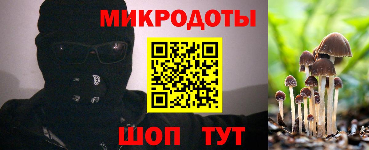 Псилоцибиновые грибы Cubensis  Галлюциногенные грибы Cubensis  Вход с VPN  Усолье-Сибирское 